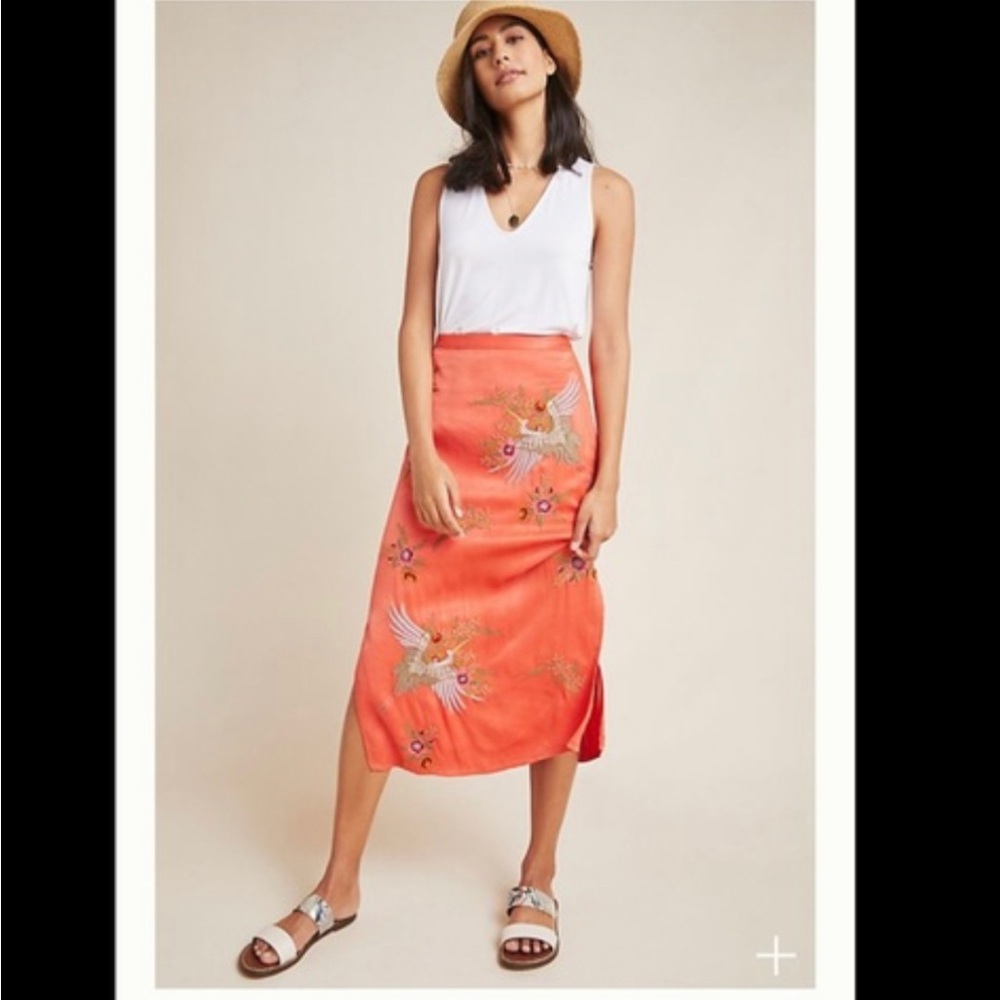 Anthropologie skirt!